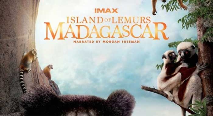 The Island Of Lemurs 3D
