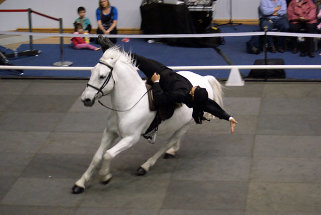 caballo blanco