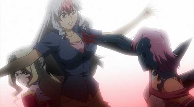 Featured image of post Anime Like Freezing The same goes for other shows like senran kagura rosario vampire