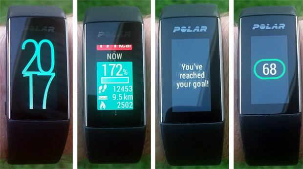 polar03