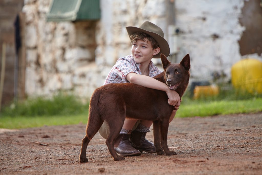 Levi Miller and Dog 02 - Day 16