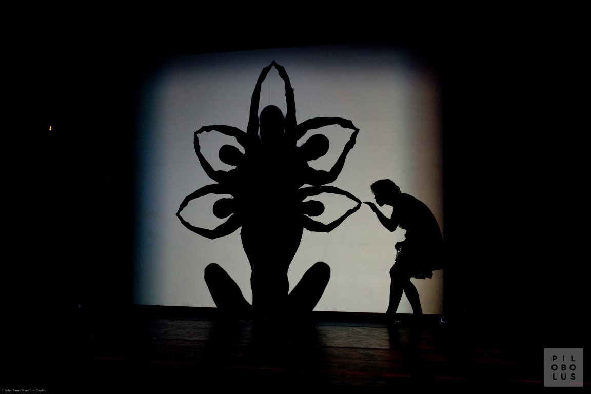 Pilobolus at joyce