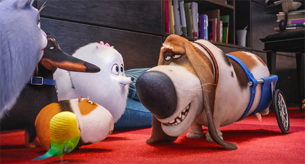 secretlifeofpets01