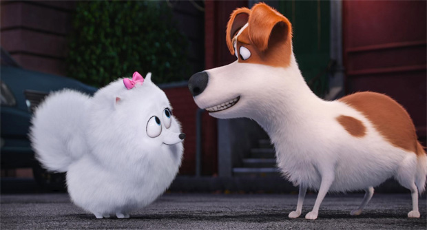 secretlifeofpets02