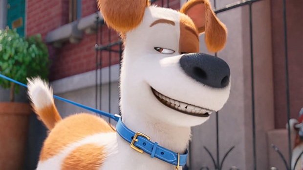 secretlifeofpets05