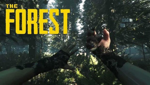 The Forest PS4 Review - The Forest for the Trees