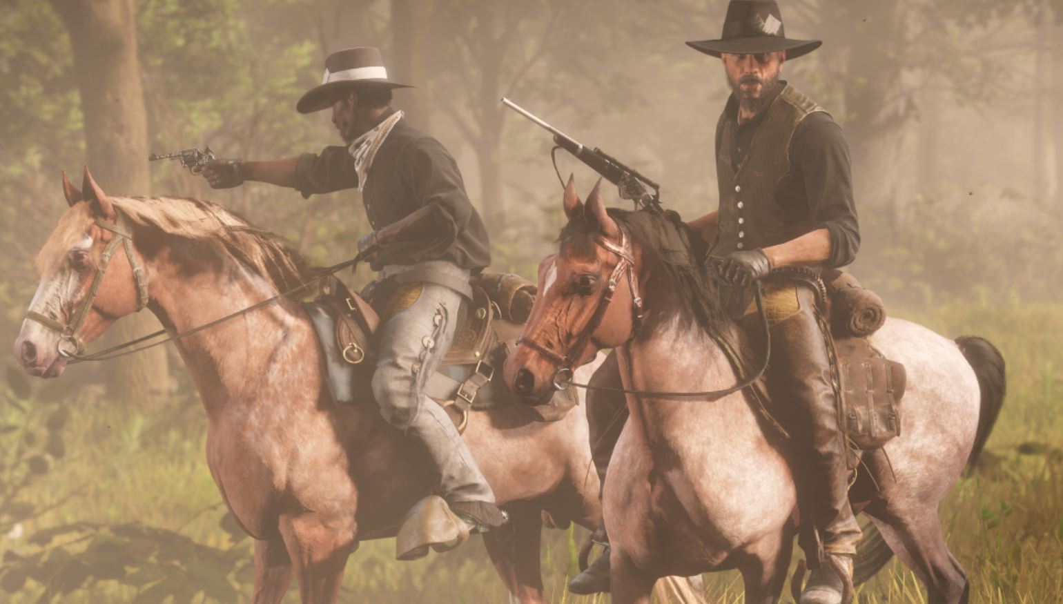 horse clothing online