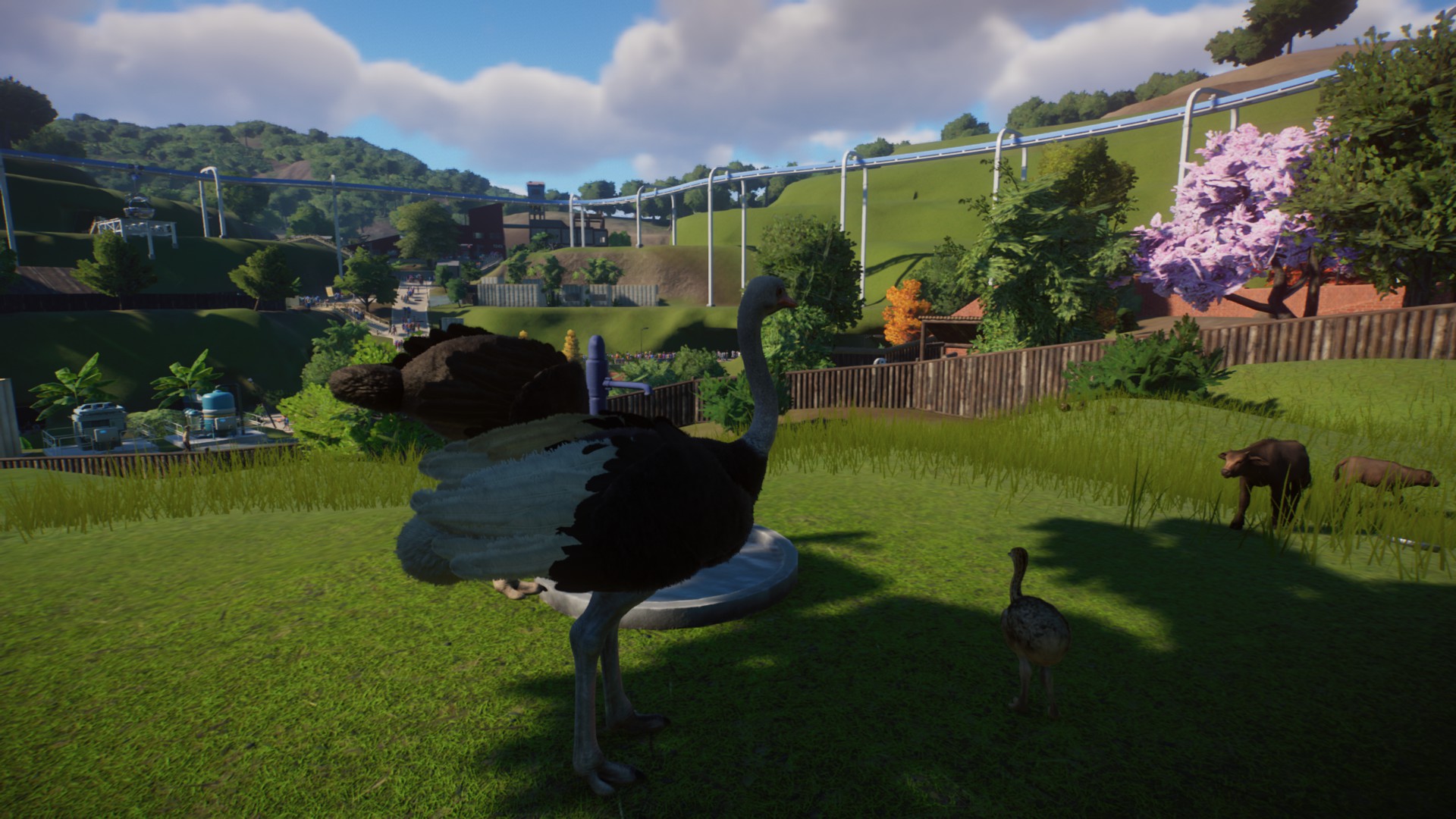 Planet Zoo' is the modern 'Zoo Tycoon' we've been waiting for