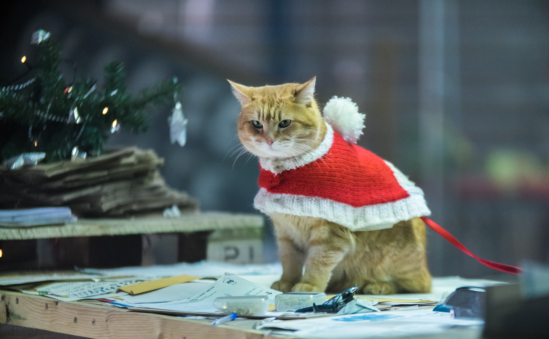 A Christmas Gift from Bob Film Review Impulse Gamer