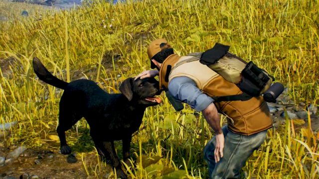 Open Country, XBOX One, petting dog