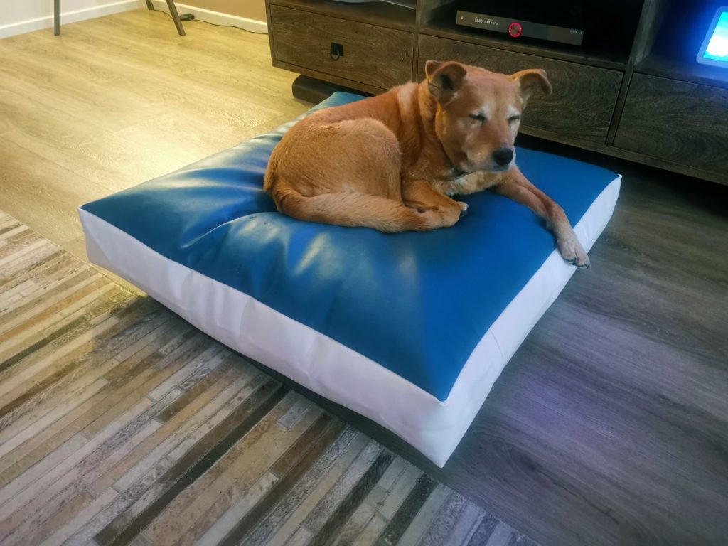 Bliss Bean Bags Dog Bean Bag Review blissbeanbags Impulse Gamer