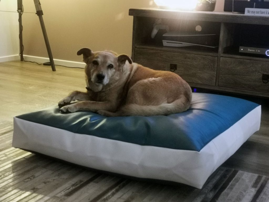 Bliss Bean Bags Dog Bean Bag Review blissbeanbags Impulse Gamer