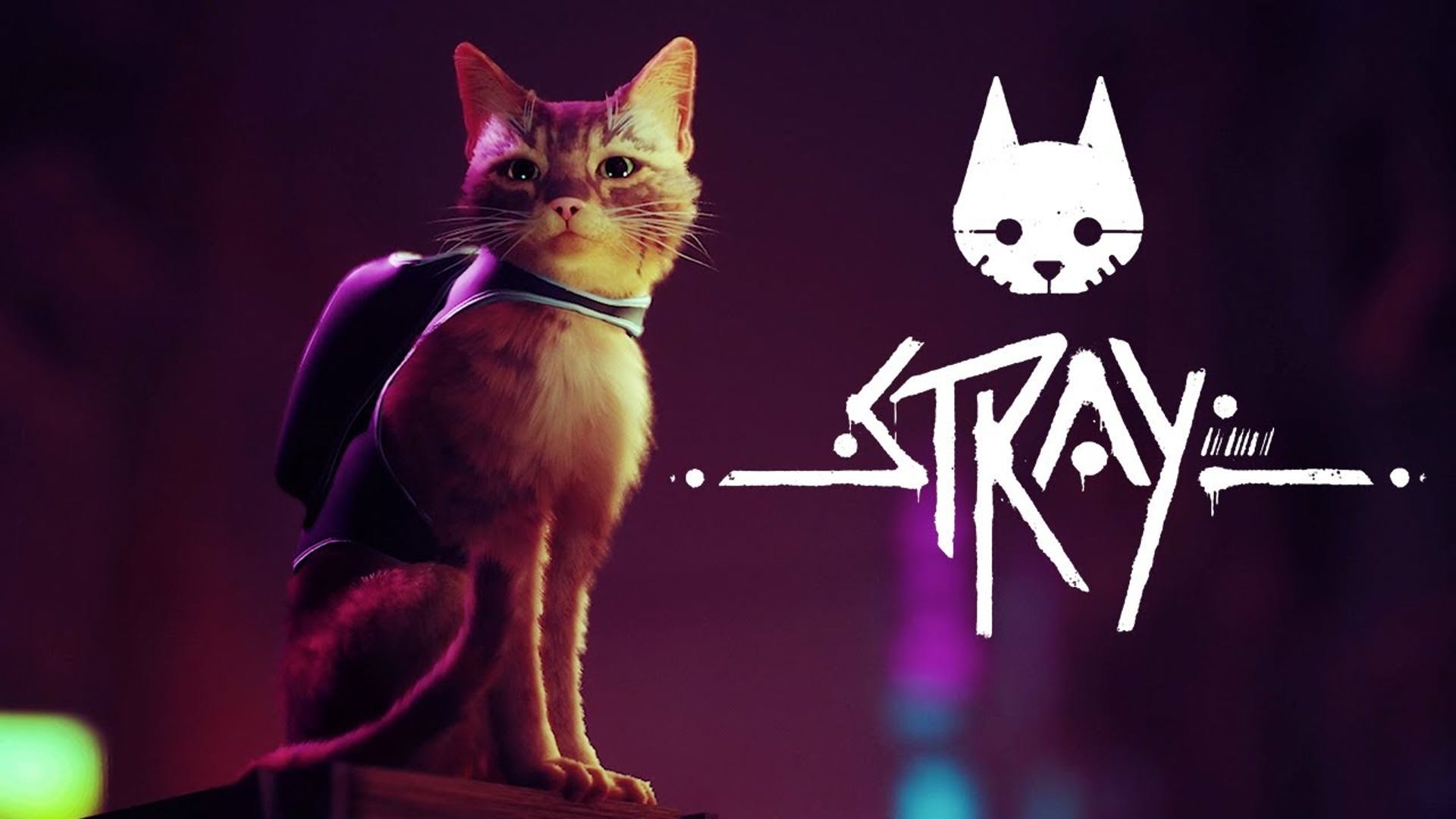Annapurna Interactive and Skybound Games Partner to Release Stray