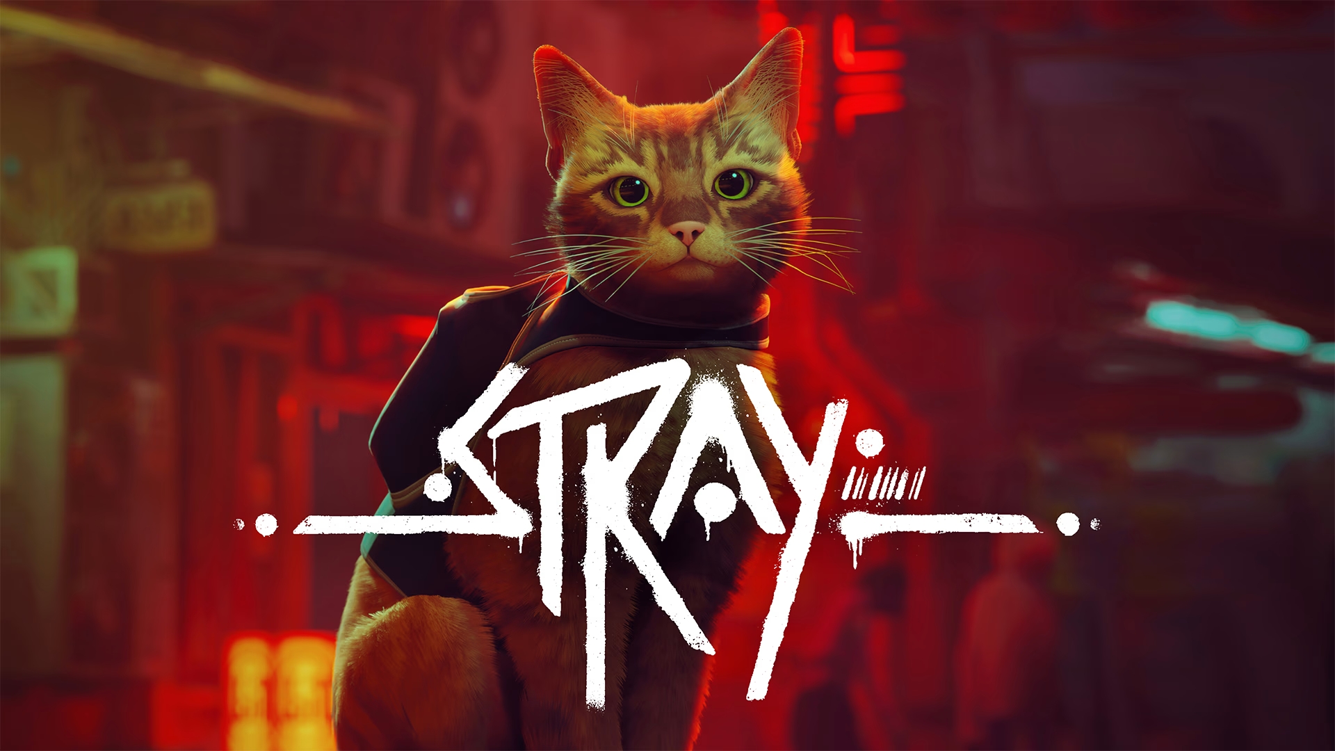 Stray Review (Switch) - Impulse Gamer